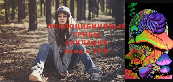 тгк Надым