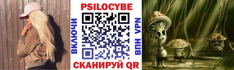 Галлюциногенные грибы мухоморы  гидра сайт  Малая Вишера 