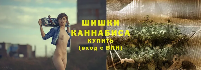 Бошки Шишки SATIVA & INDICA  Малая Вишера 